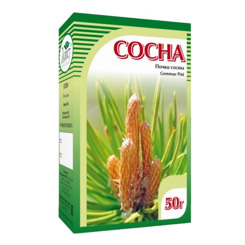 Почки сосны (БАД) (  50 г )